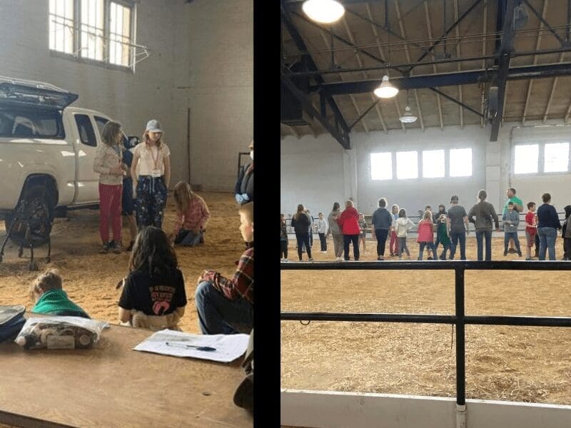 Megan at 4H Animal Crackers event at Cornell May 2024